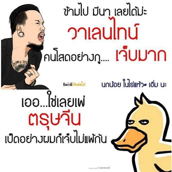 โสดแล้วพาล แท็กมาแรงในทวิตเตอร์ จากใจคนโสดในวันวาเลนไทน์