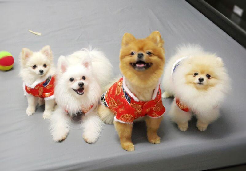 Jimmy & the gang