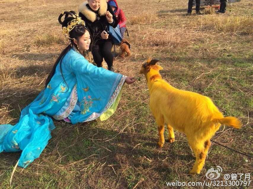 Legend Of Paradise 《永乐传奇》 2015 part11