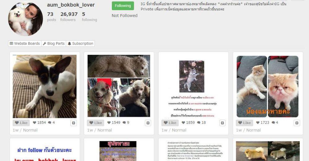 "อั้ม พัชราภา" ทั้งสวยทั้งใจบุญ เปิด IG ช่วยหมา-แมว!!