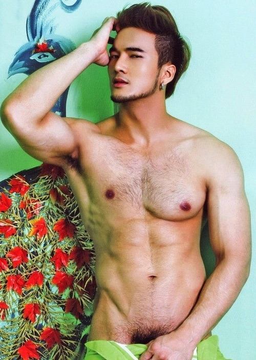 Asian Hot Hunk