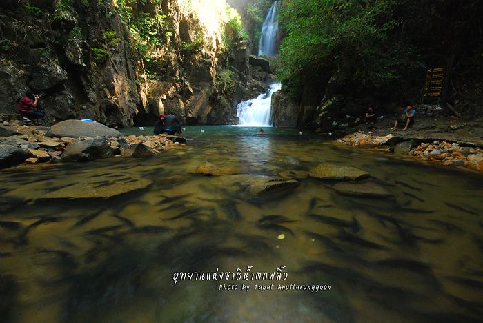 ร้อนร้อน ไปเล่นนำเมืองไทยกัน น้ำตกไหนดีค๊าฟฟ