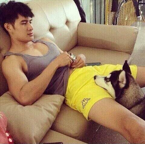ความสุขของอิป้า