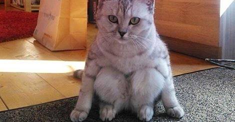 ฮาๆ