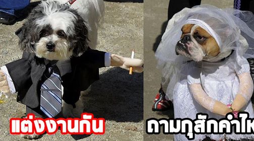 ฮาๆ
