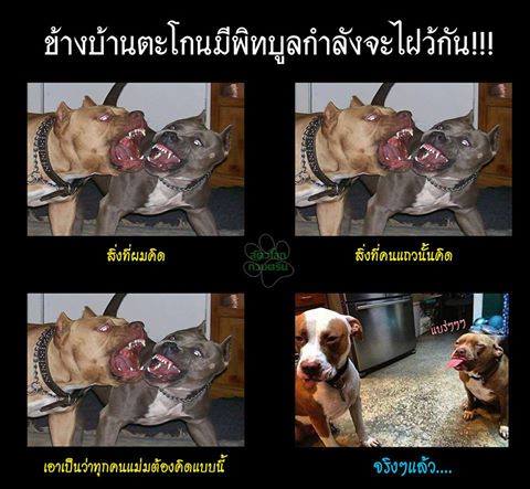 ฮาๆ