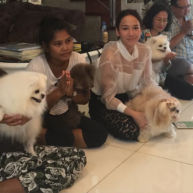 ทั้งรักเเละผูกพัน! "อั้ม" ทำบุญครบรอบวันจากไปของ "การ์ตูน" สุนัขตัวโปรดที่เคยอยู่ด้วยกันมาถึง 16 ปี!!