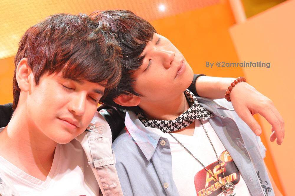 เต๋าคชา reunion