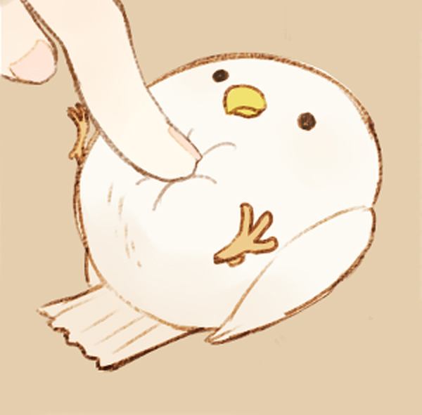 CUTE 128