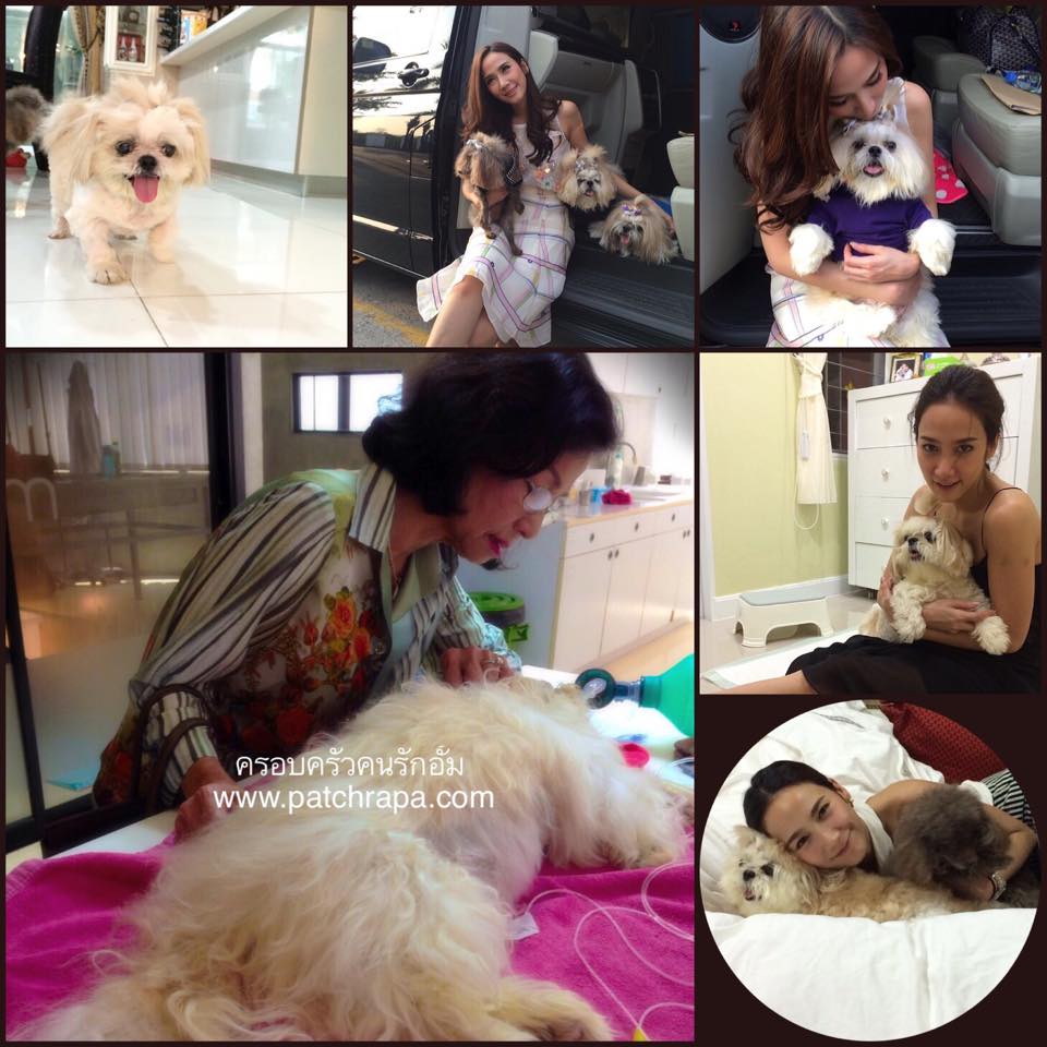 ขอความซึ้งๆน่าเศร้าของ "อั้ม" ที่ต้องจากน้องหมาสุดที่รักเมื่อสักครู่ที่อยู่ร่วมกันมาถึง 17 ปีความผูกพันธ์ที่ยาวนาน หลับให้สบายนะ