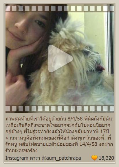 ขอความซึ้งๆน่าเศร้าของ "อั้ม" ที่ต้องจากน้องหมาสุดที่รักเมื่อสักครู่ที่อยู่ร่วมกันมาถึง 17 ปีความผูกพันธ์ที่ยาวนาน หลับให้สบายนะ