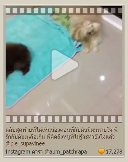 ขอความซึ้งๆน่าเศร้าของ "อั้ม" ที่ต้องจากน้องหมาสุดที่รักเมื่อสักครู่ที่อยู่ร่วมกันมาถึง 17 ปีความผูกพันธ์ที่ยาวนาน หลับให้สบายนะ