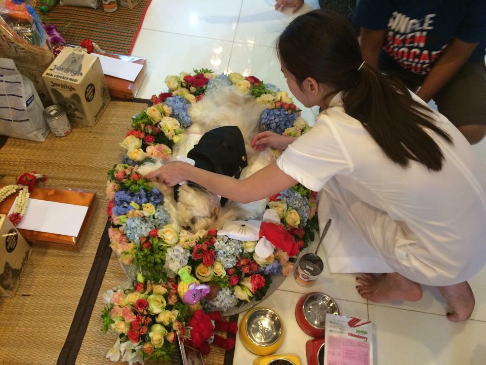 "อั้ม" กลับมาหากัปตันเเล้วนะ 17 ปีที่ผ่านมาจะไม่มีวันลืมจะอยู่ในใจพี่เสมอ R.I.P หลับให้สบายนะ