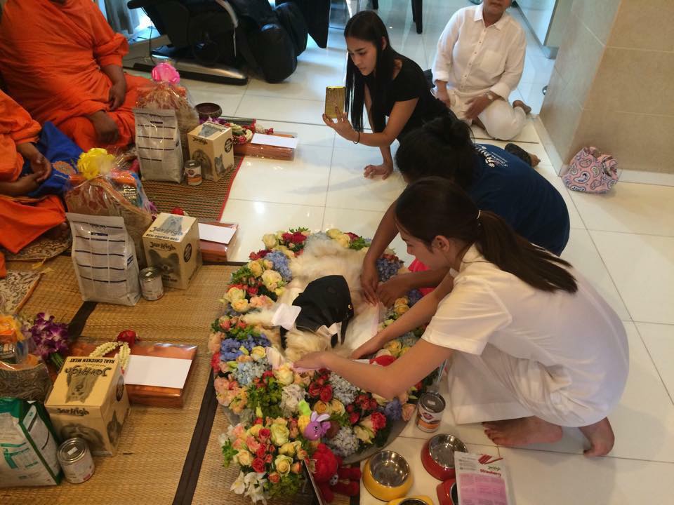 "อั้ม" กลับมาหากัปตันเเล้วนะ 17 ปีที่ผ่านมาจะไม่มีวันลืมจะอยู่ในใจพี่เสมอ R.I.P หลับให้สบายนะ