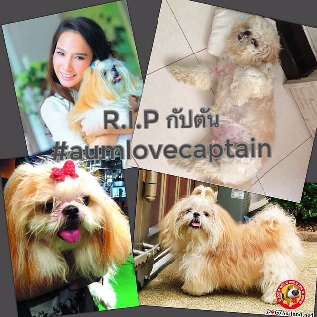 "อั้ม" กลับมาหากัปตันเเล้วนะ 17 ปีที่ผ่านมาจะไม่มีวันลืมจะอยู่ในใจพี่เสมอ R.I.P หลับให้สบายนะ