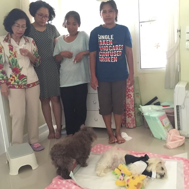 สุดเศร้า!! "อั้ม" หยุดสวีท "แอมป์" ลั้ลลาปารีส บินกลับไทยด่วน จัดงานศพให้หมาสุดที่รัก!!