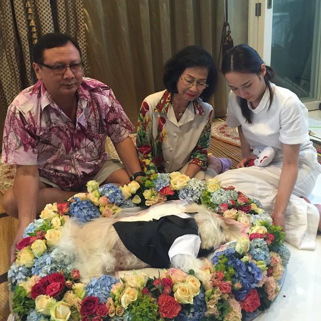 สุดเศร้า!! "อั้ม" หยุดสวีท "แอมป์" ลั้ลลาปารีส บินกลับไทยด่วน จัดงานศพให้หมาสุดที่รัก!!