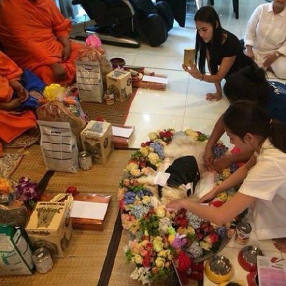 สุดเศร้า!! "อั้ม" หยุดสวีท "แอมป์" ลั้ลลาปารีส บินกลับไทยด่วน จัดงานศพให้หมาสุดที่รัก!!