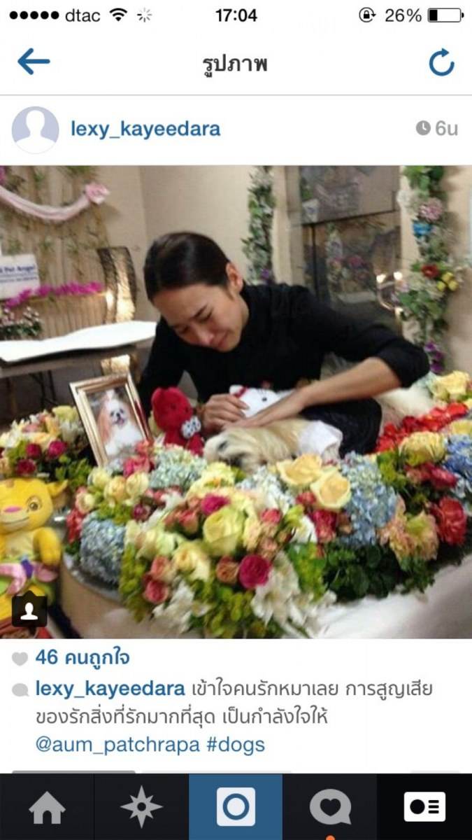 สุดเศร้า!! "อั้ม" หยุดสวีท "แอมป์" ลั้ลลาปารีส บินกลับไทยด่วน จัดงานศพให้หมาสุดที่รัก!!