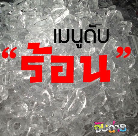 สุดยอดเมนูดับร้อน