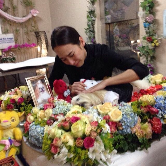 "อั้ม" กลับมายิ้มอีกครั้ง หลังสูญเสีย "เจ้ากัปตัน" น้องหมาคู่ใจ