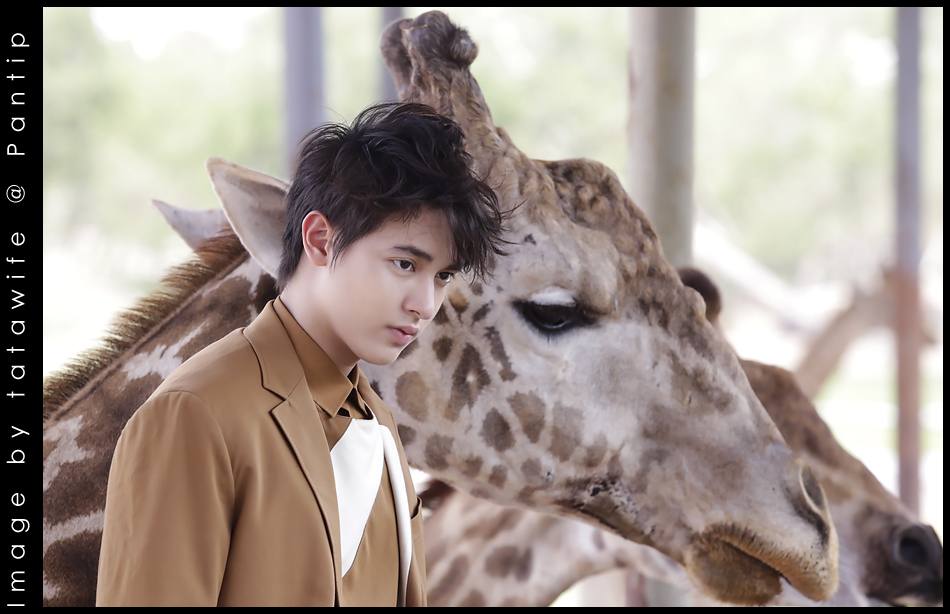 เจมส์จิ ลิงน้อยน่ารัก !!