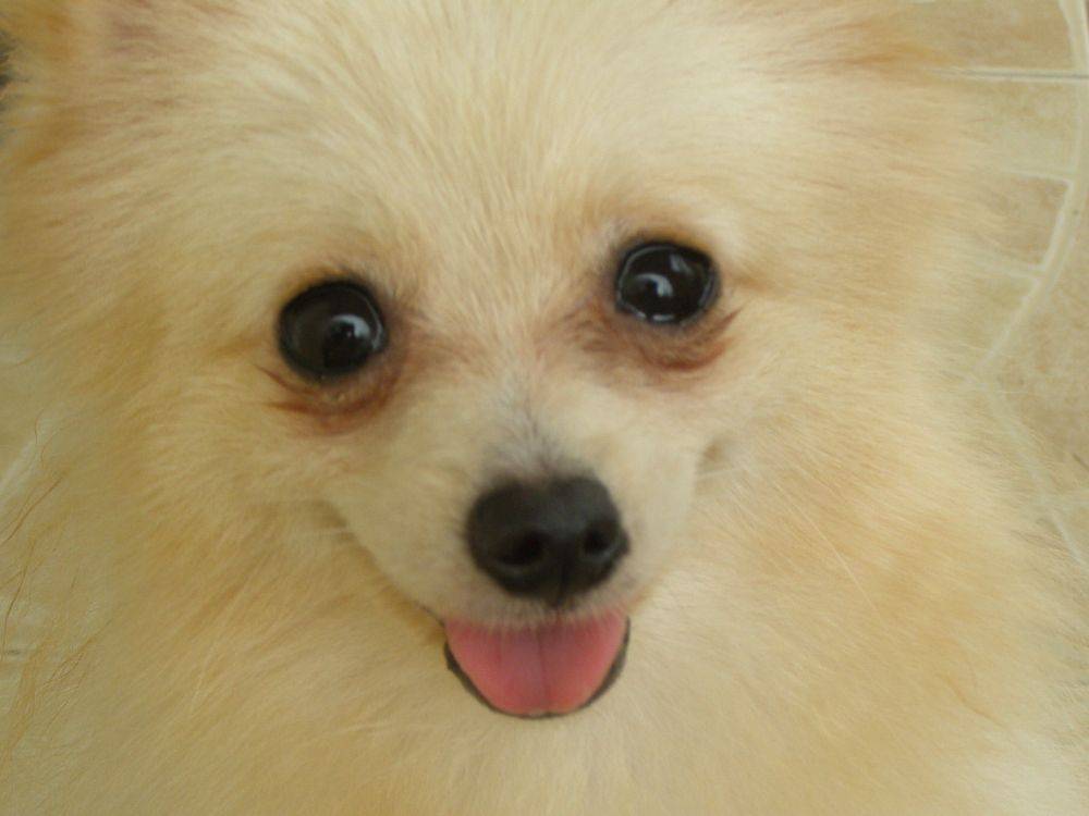 8 ปีแล้วสินะ ที่เราอยู่ด้วยกันมา "น้องแตงกวา"