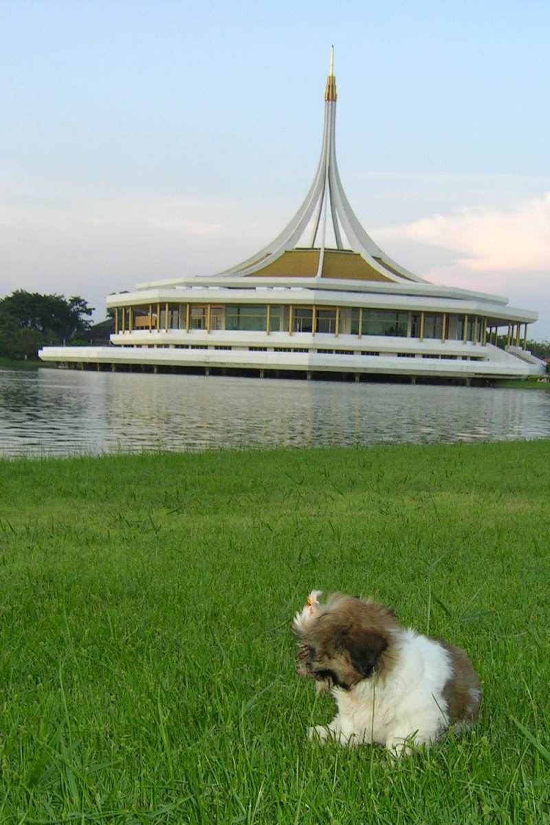 8 ปีแล้วสินะ ที่เราอยู่ด้วยกันมา "น้องแตงกวา"