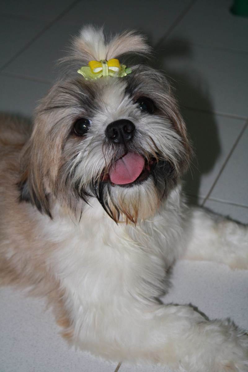 8 ปีแล้วสินะ ที่เราอยู่ด้วยกันมา "น้องแตงกวา"