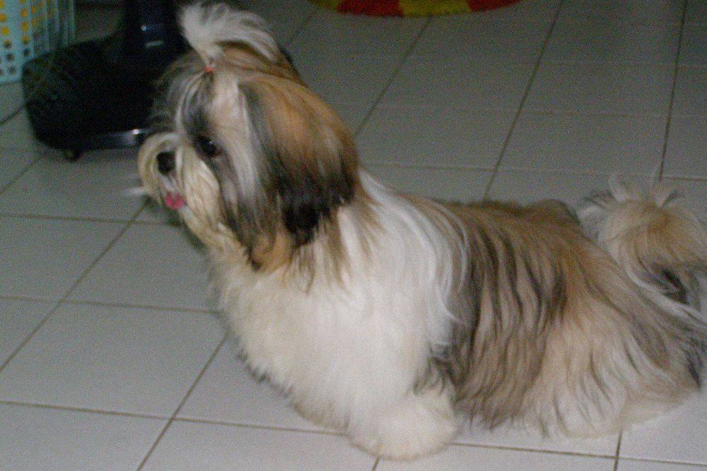 8 ปีแล้วสินะ ที่เราอยู่ด้วยกันมา "น้องแตงกวา"