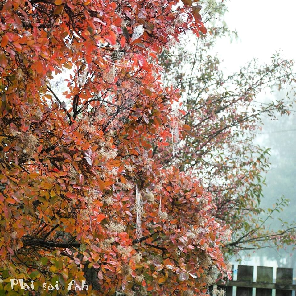 วิวสวยๆจากนิวซีแลนด์ค่า ^^