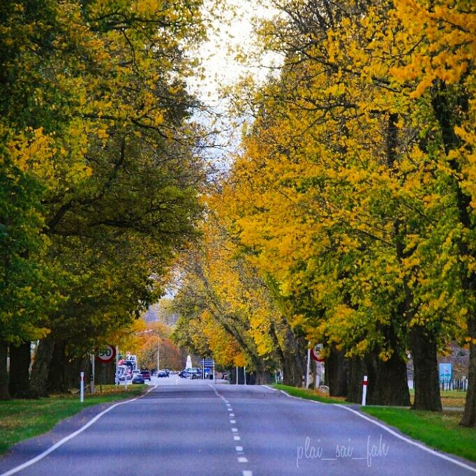 Autumn in my heart .....