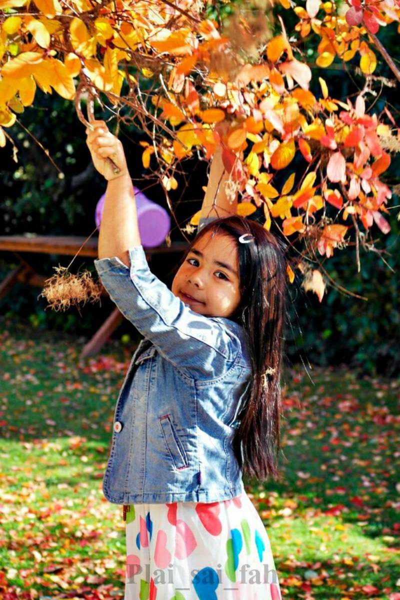 Autumn in my heart .....
