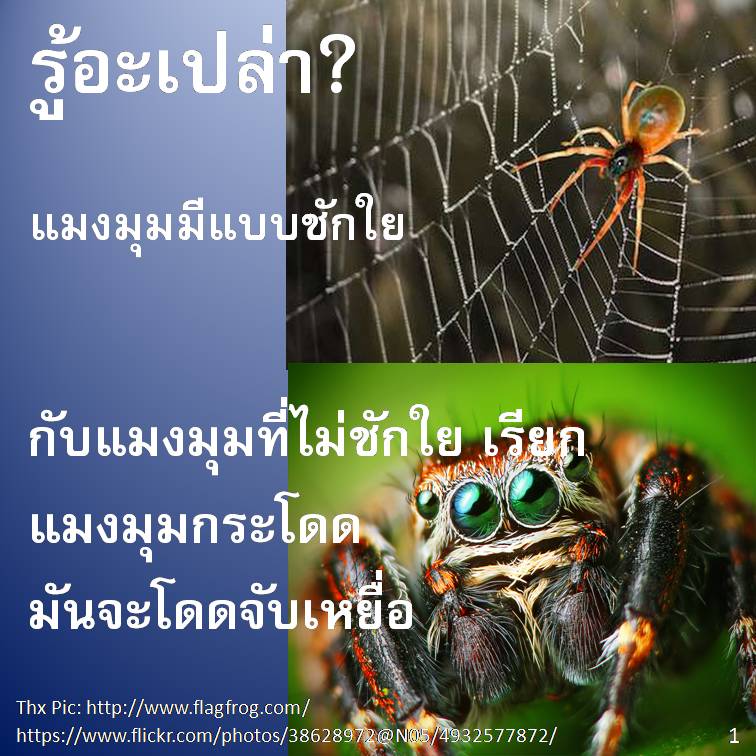 รู้อะเปล่า?