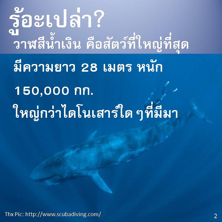 รู้อะเปล่า?