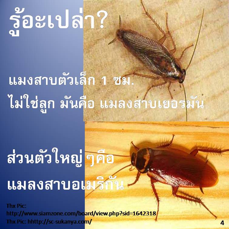 รู้อะเปล่า?