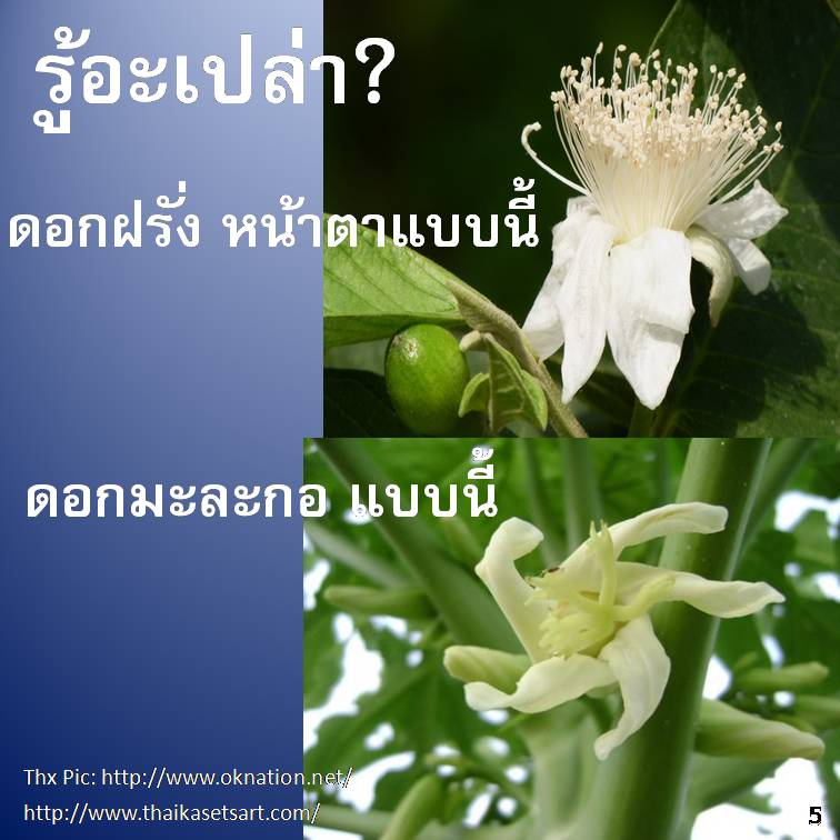 รู้อะเปล่า?