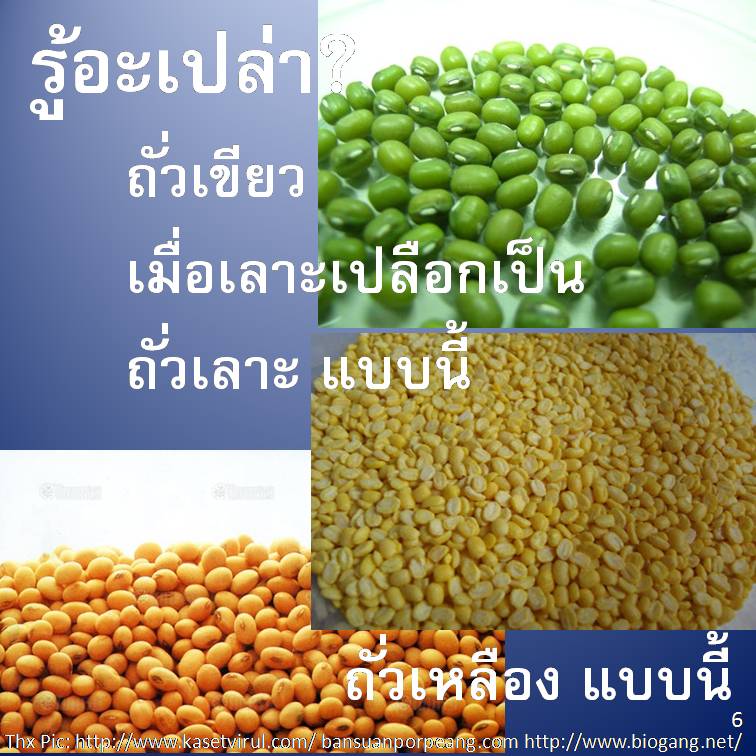 รู้อะเปล่า?