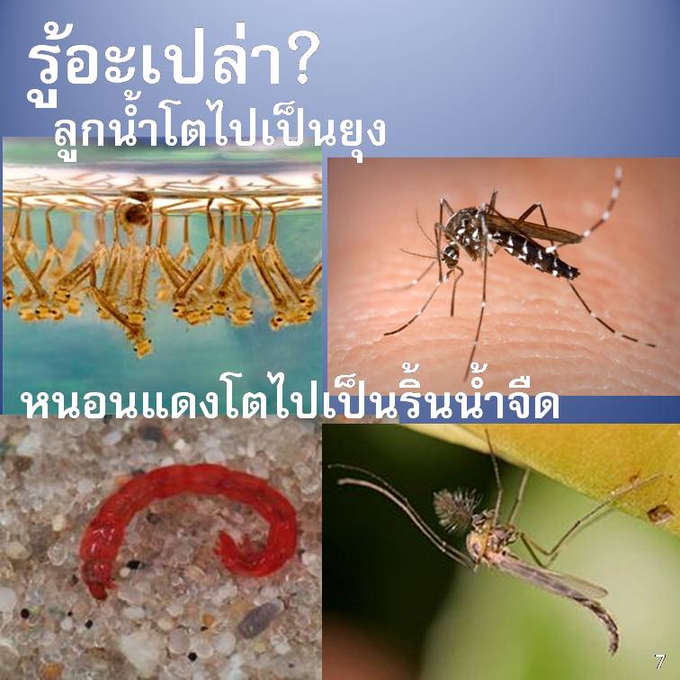 รู้อะเปล่า?
