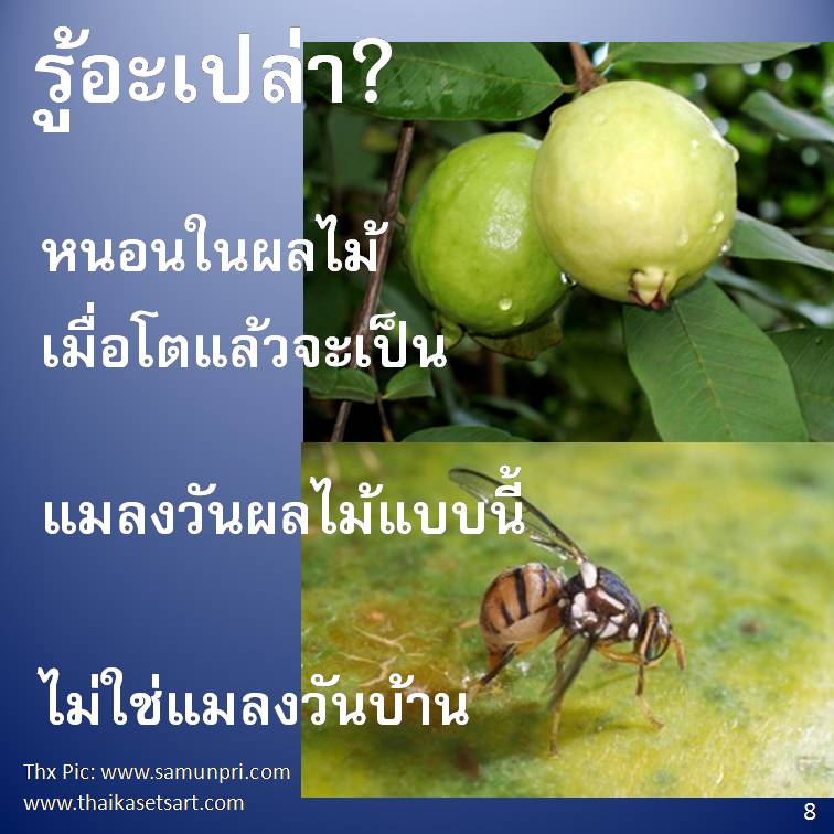 รู้อะเปล่า?