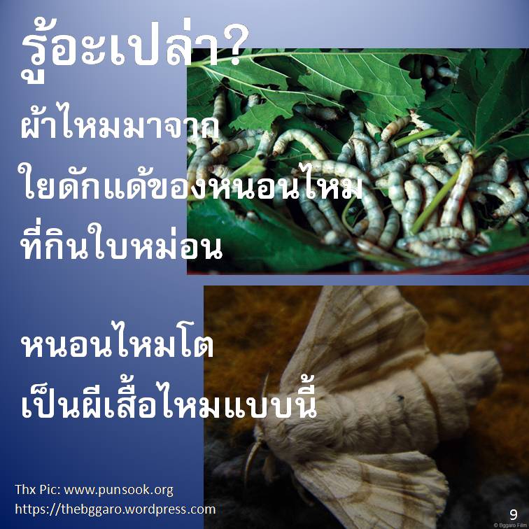 รู้อะเปล่า?