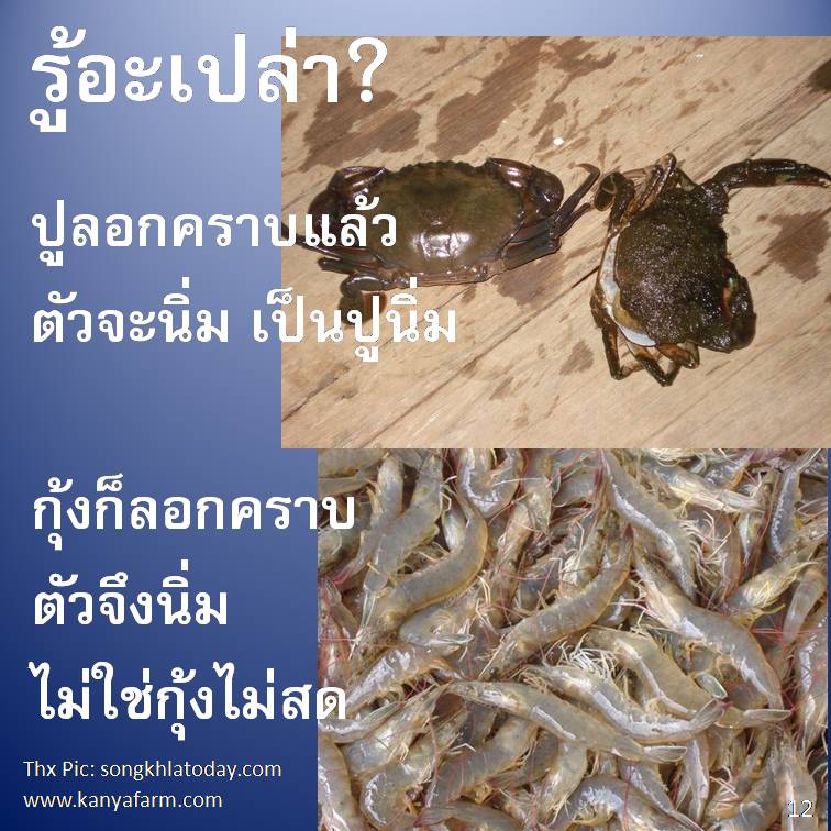 รู้อะเปล่า?