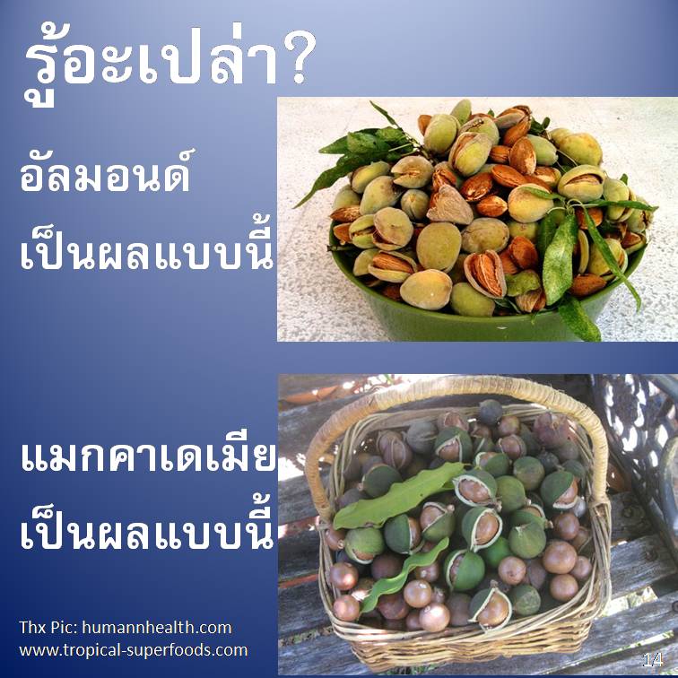 รู้อะเปล่า?