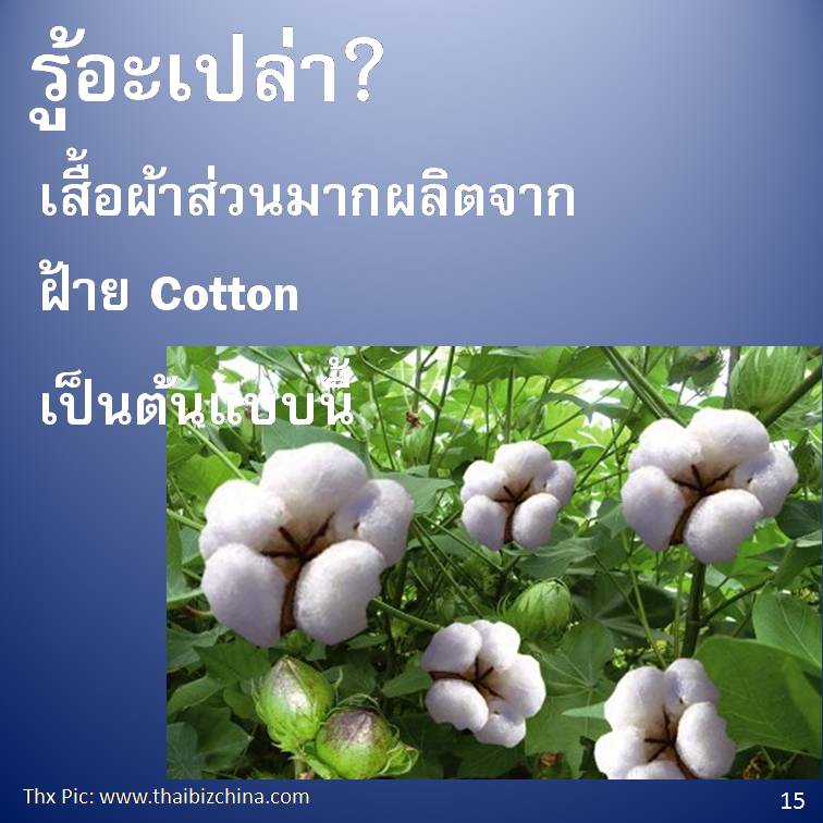 รู้อะเปล่า?