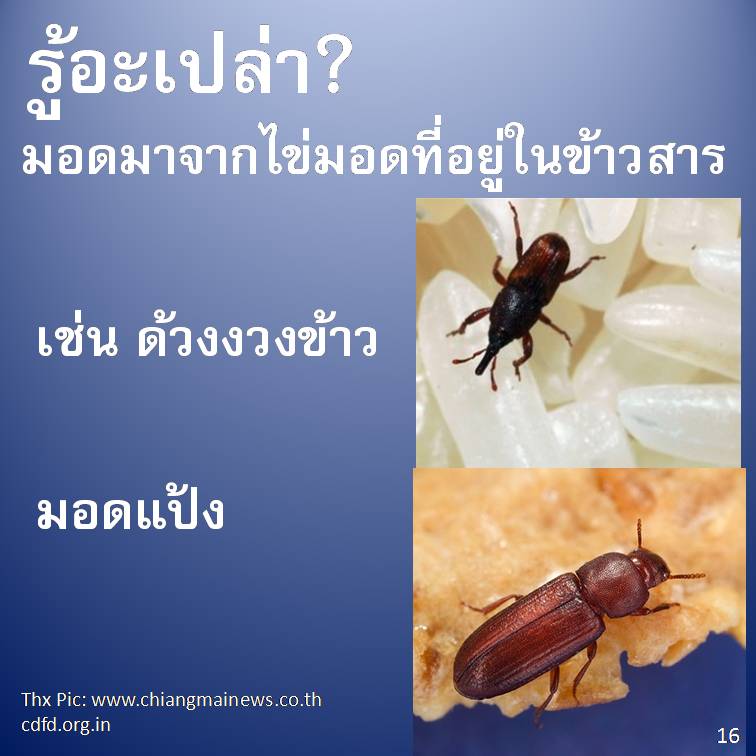 รู้อะเปล่า?