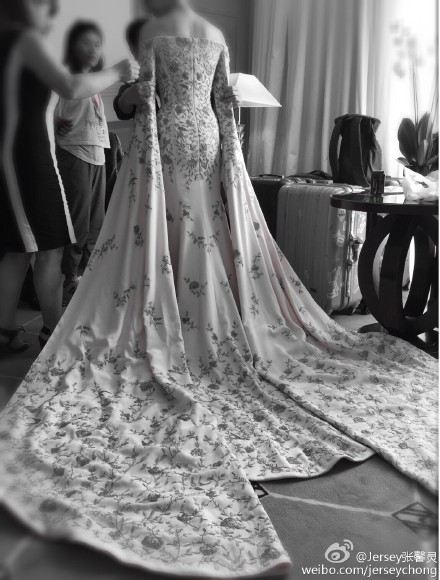 Fan Bing Bing  สวยสง่า พญาหงส์ บนพรมแดงเมืองคานส์ Cannes film festival 2015