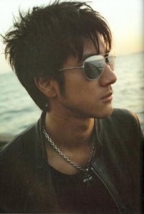 Wang Lee Hom