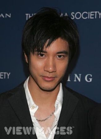 Wang Lee Hom