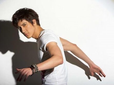Wang Lee Hom