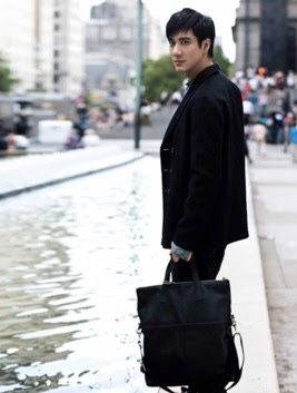 Wang Lee Hom